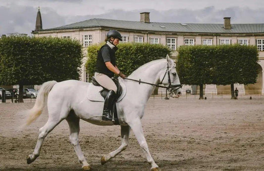 Breeches vs Jodhpurs vs Riding Tights - Ayr Equestrian