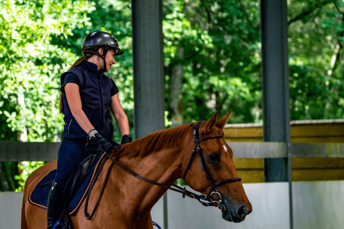 Essential Horse Riding Gear for Beginners - Ayr Equestrian