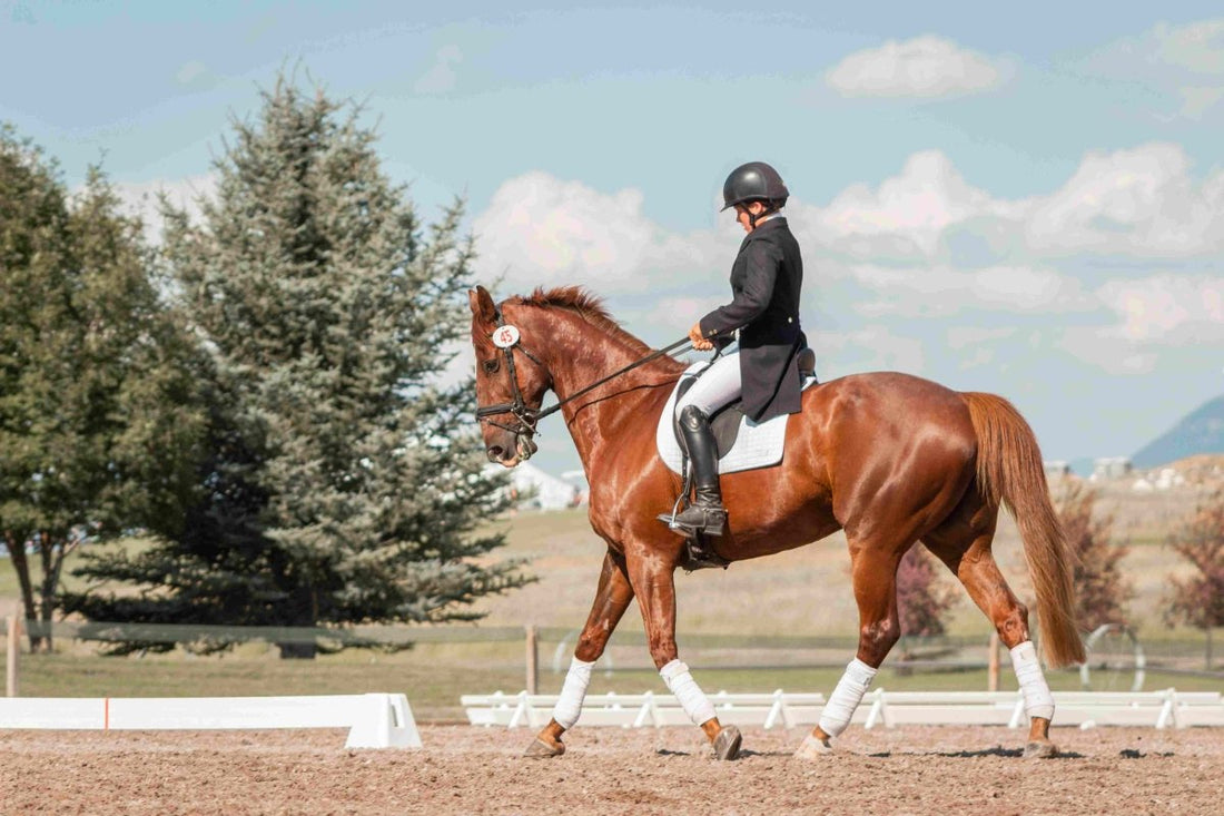 How Should Long Riding Boots Fit? - Ayr Equestrian