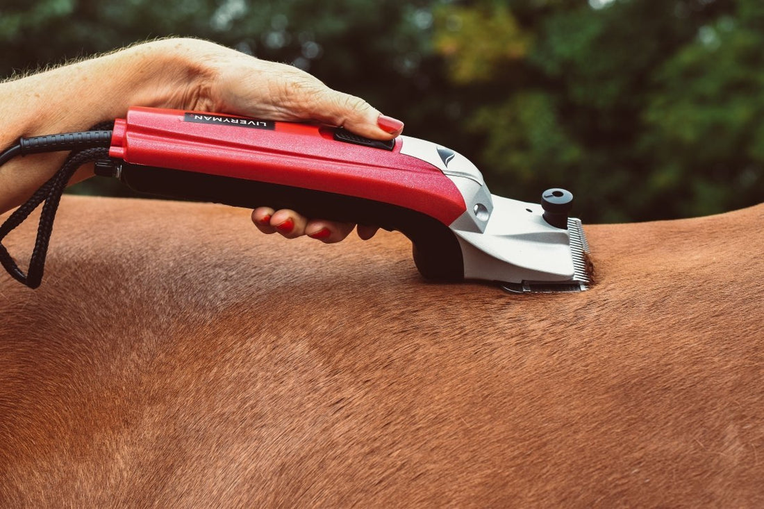 The Mane Attraction: Exploring the World of Horse Clips - Ayr Equestrian