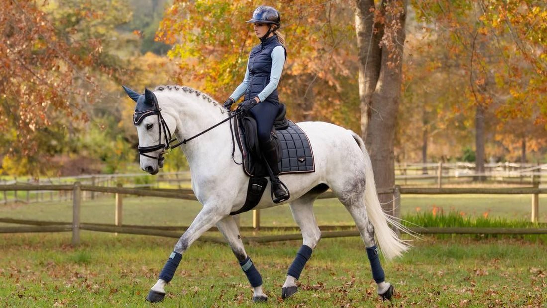 Understanding Dressage: Its History, Levels, and the Debate on Ethics - Ayr Equestrian