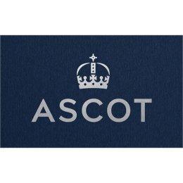 Ascot - Ayr Equestrian