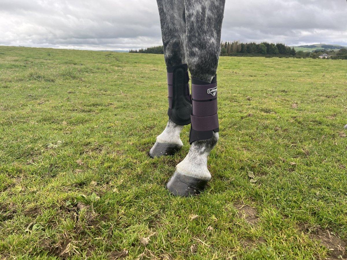 Horse Boots & Wraps - Ayr Equestrian