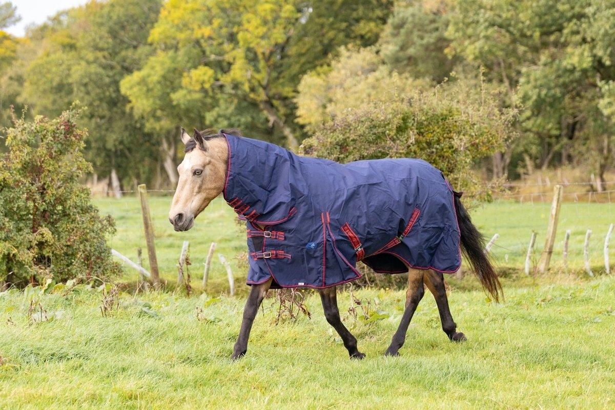 Horse rugs - Ayr Equestrian