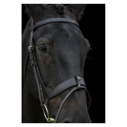 EcoRider Classic Comfort Show Bridle - Brown - Small Pony