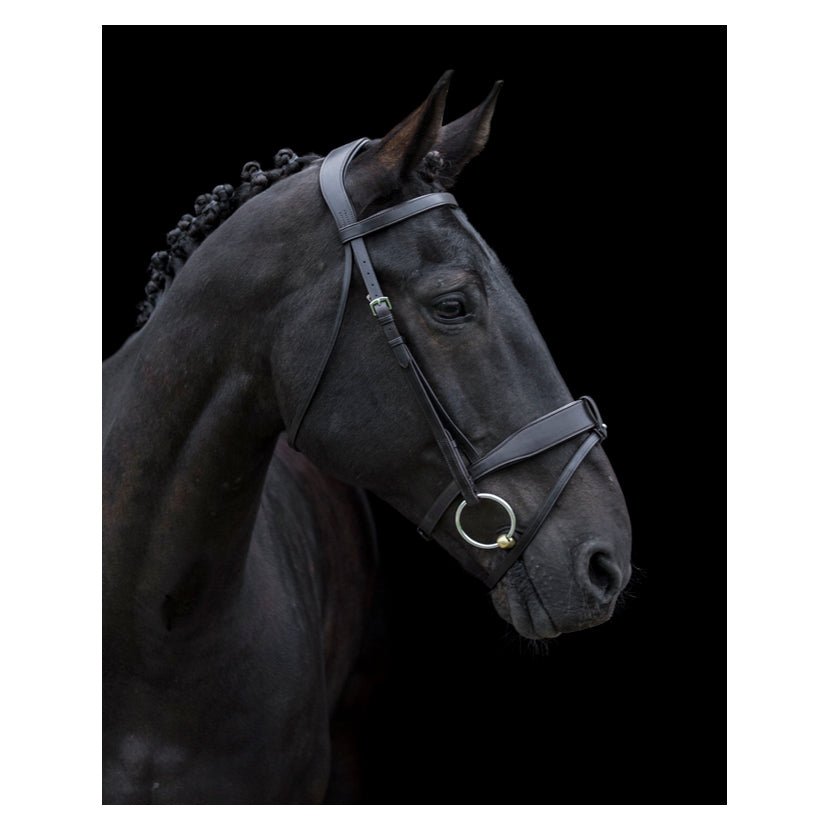 EcoRider Classic Comfort Show Bridle - Brown - Small Pony