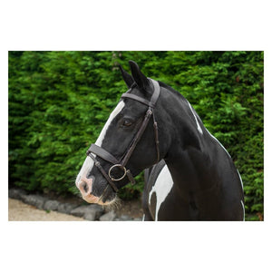 EcoRider Classic Comfort Show Bridle - Brown - Small Pony