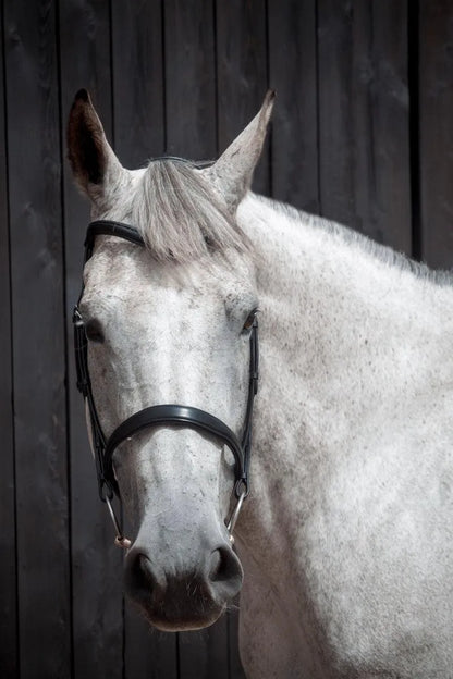 Henry James Cavesson bridle - Black - Cob