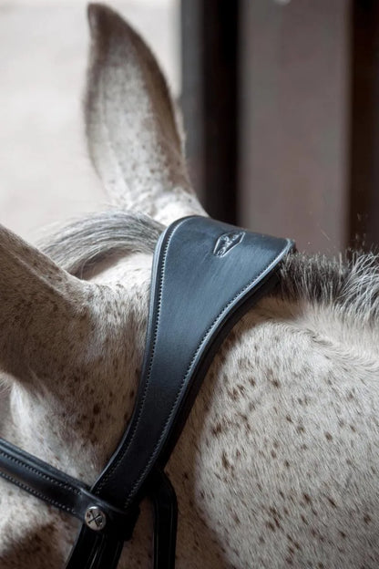 Henry James Cavesson bridle - Black - Cob