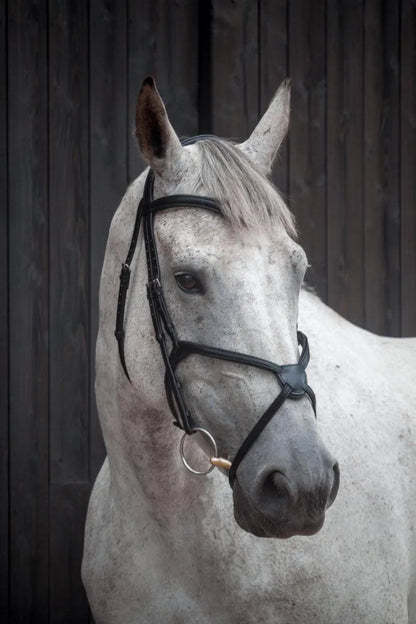 Henry James Grackle Bridle - Black - Cob