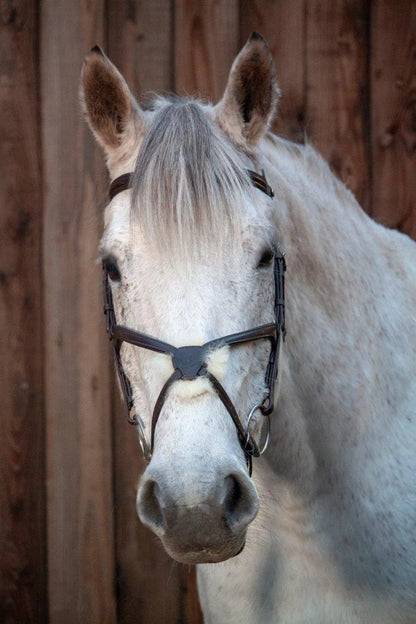 Henry James Sheepskin Grackle Bridle - Black - Cob