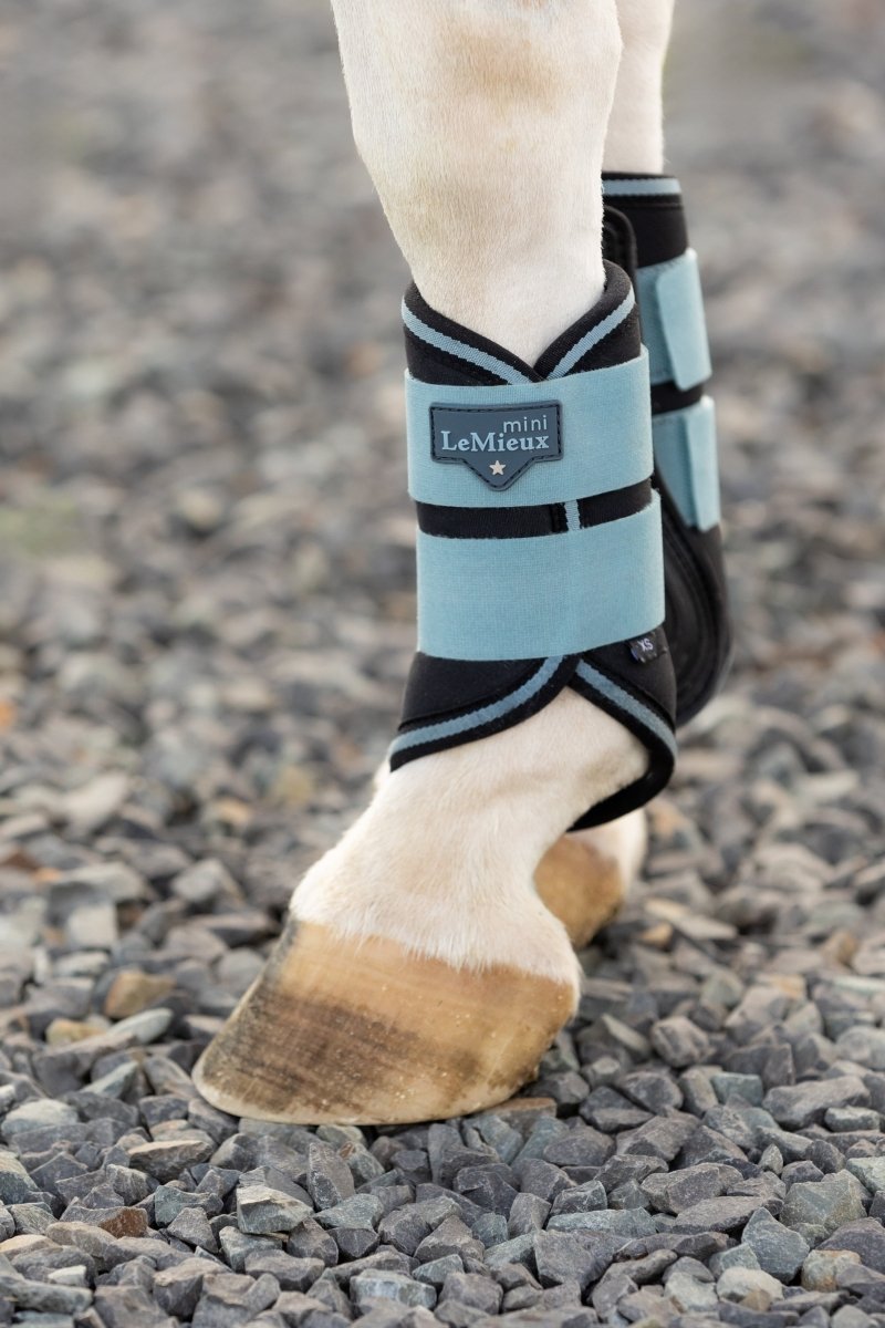 LeMieux AW24 Mini Brushing Boots - Alpine - Mini