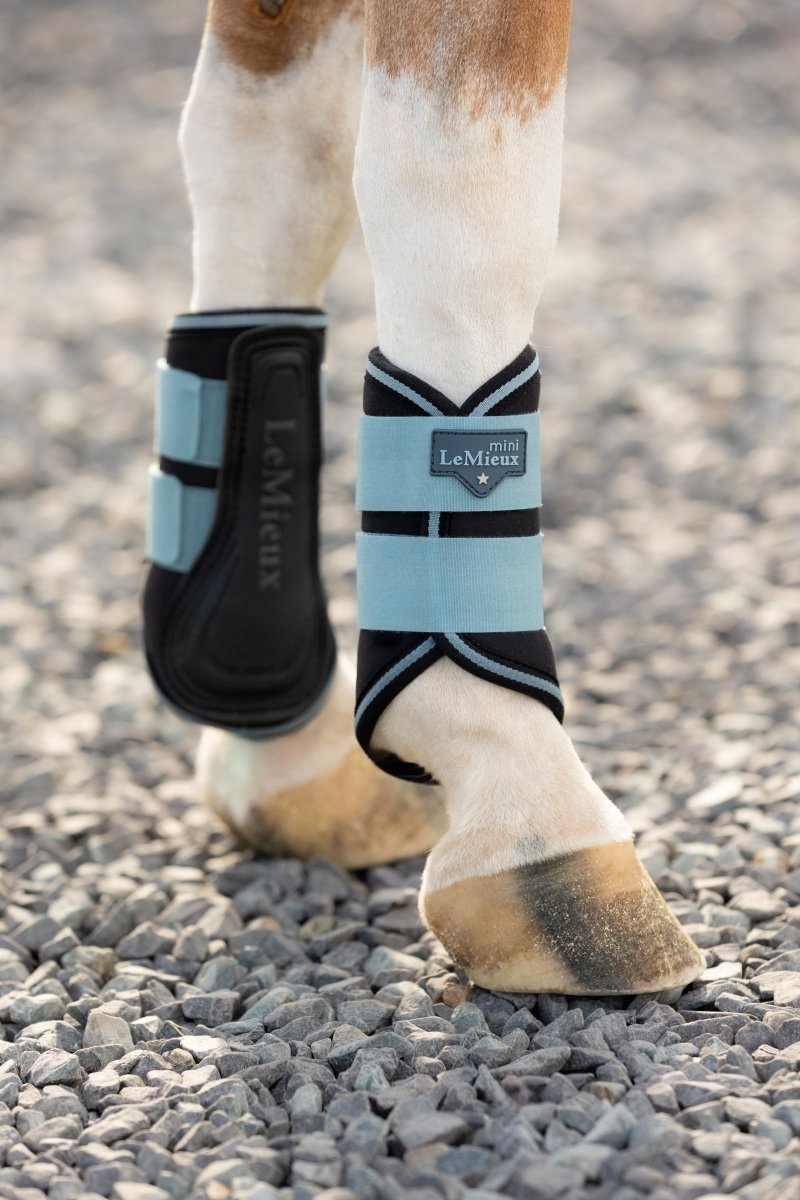 LeMieux AW24 Mini Brushing Boots - Glacier - Mini