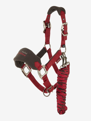 LeMieux AW24 Mini Vogue Headcollar - Ember - Super Mini