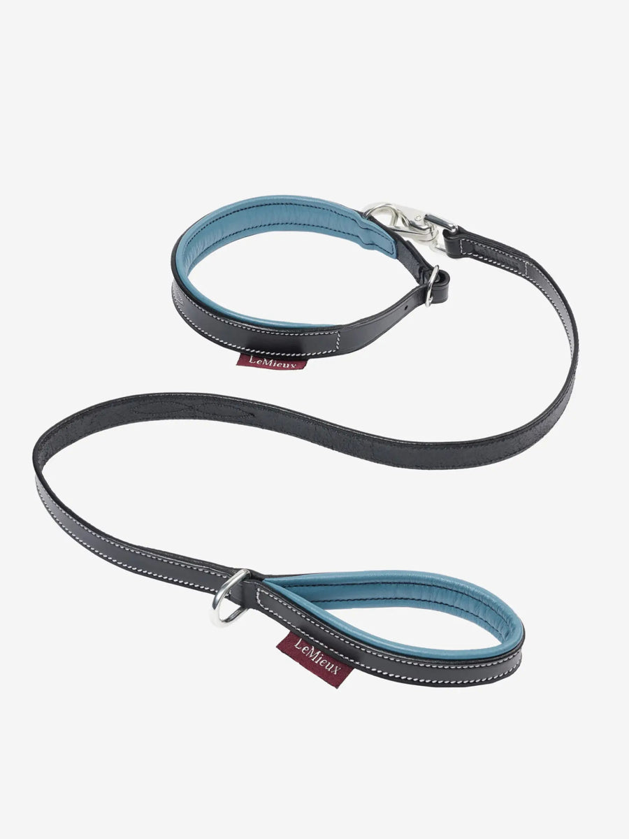 LeMieux AW24 Toy Puppy Collar & Lead - Ice Blue/Black - 