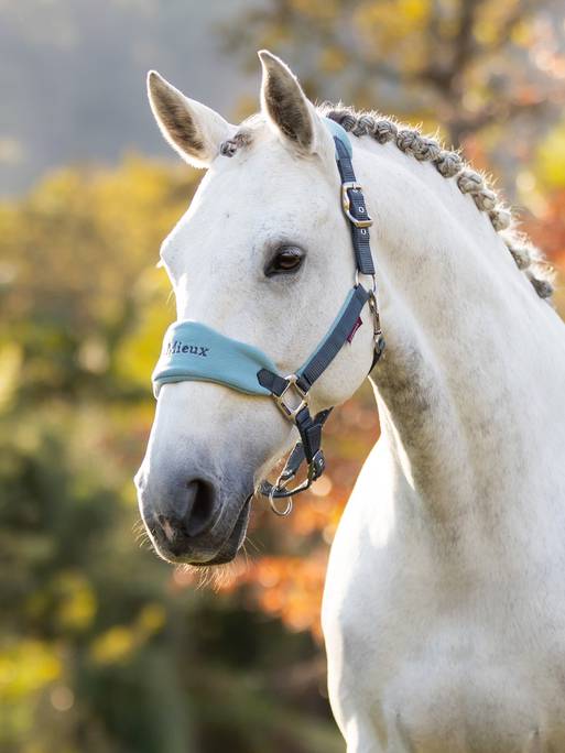 LeMieux AW24 Vogue Headcollar & Leadrope - Ember - Pony