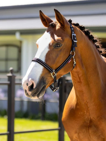 LeMieux Essential Yard Headcollar - Black - Cob