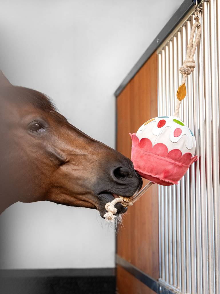 LeMieux Horse Toy - Cupcake - 