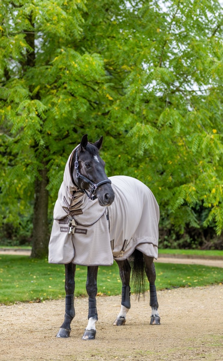 LeMieux Kudos Field Rug - Stone - 5'6