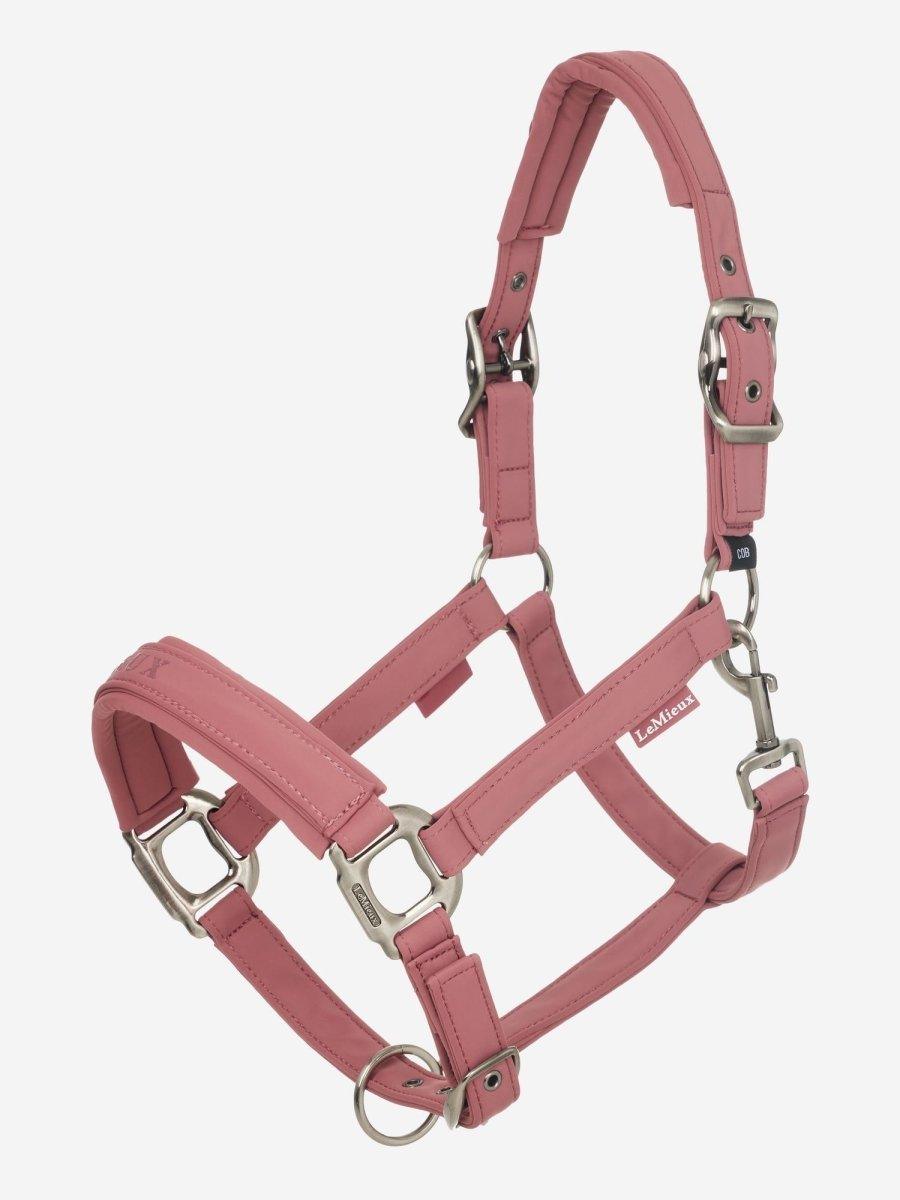 LeMieux SS25 Finesse Headcollar - Rosewood - Pony