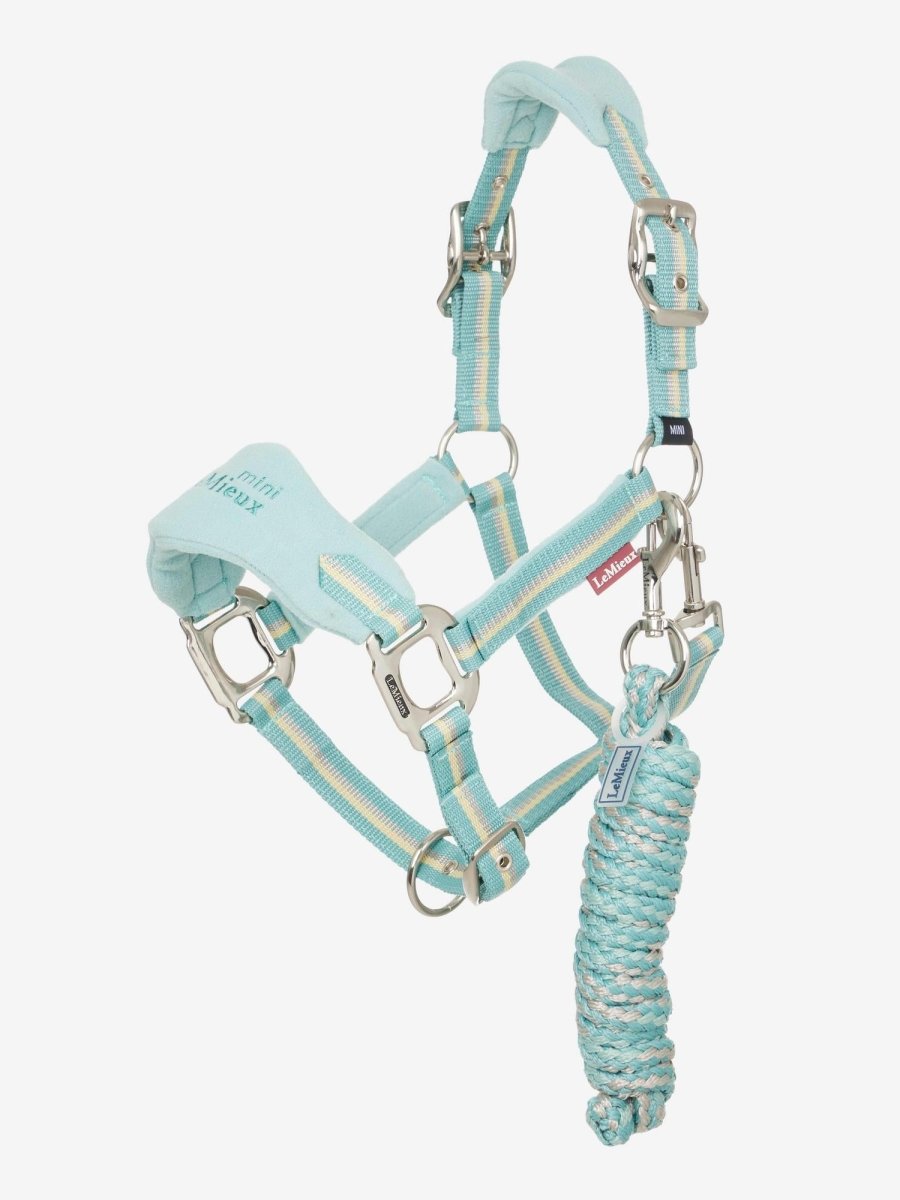 LeMieux SS25 Mini Vogue Headcollar & Leadrope - Aqua - Mini