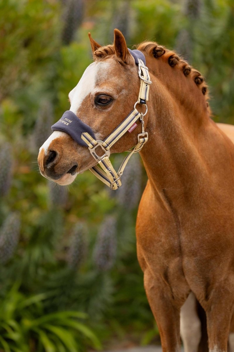 LeMieux SS25 Mini Vogue Headcollar & Leadrope - Peony - Mini