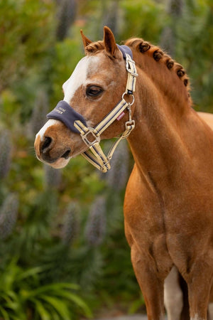 LeMieux SS25 Mini Vogue Headcollar & Leadrope - Peony - Mini