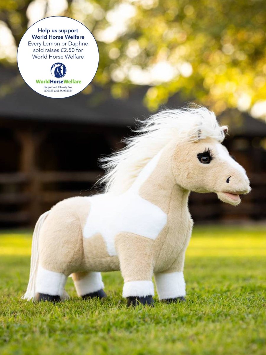 LeMieux Toy Pony Lemon AW24 - 