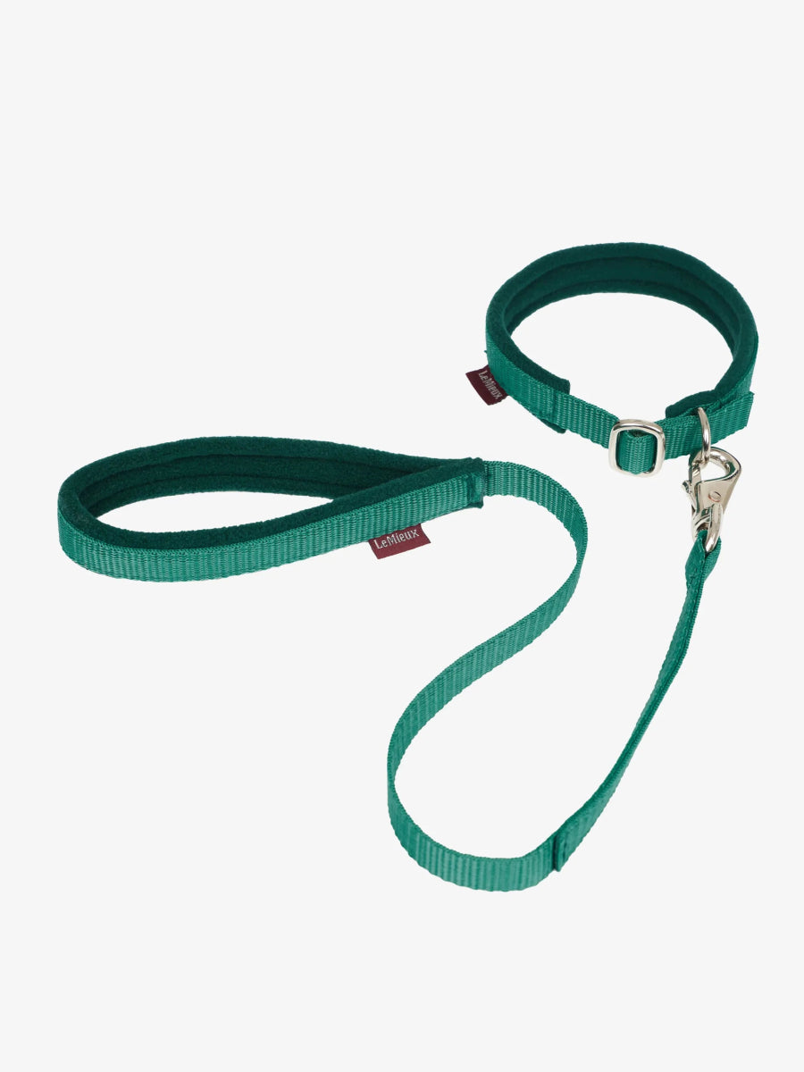 LeMieux Toy Puppy Collar & Lead - Evergreen -