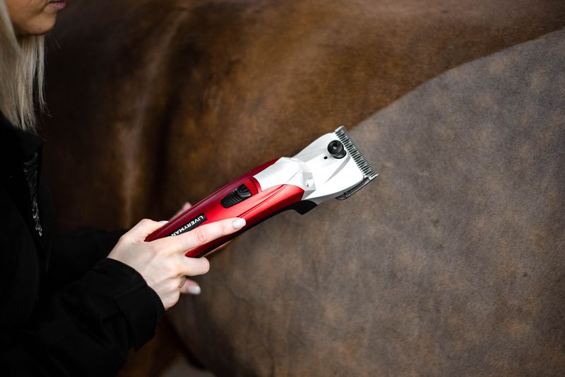 Liveryman Black Beauty Horse Clippers - Mains - 