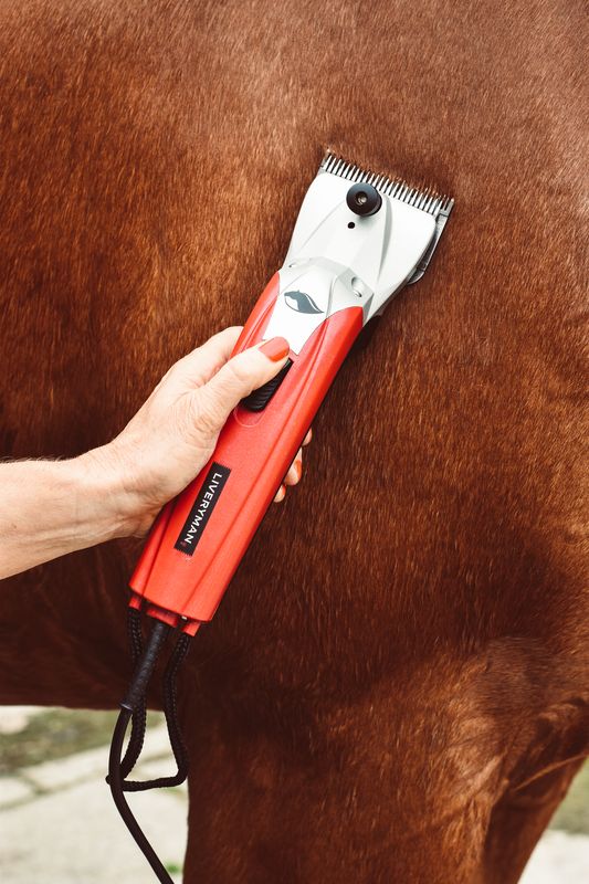 Liveryman Black Beauty Horse Clippers - Mains - 