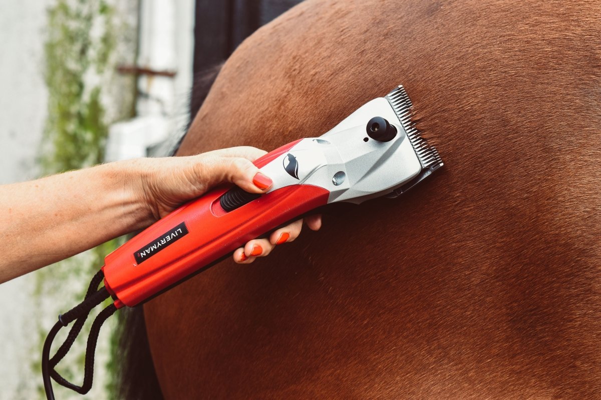 Liveryman Black Beauty Horse Clippers - Mains - 