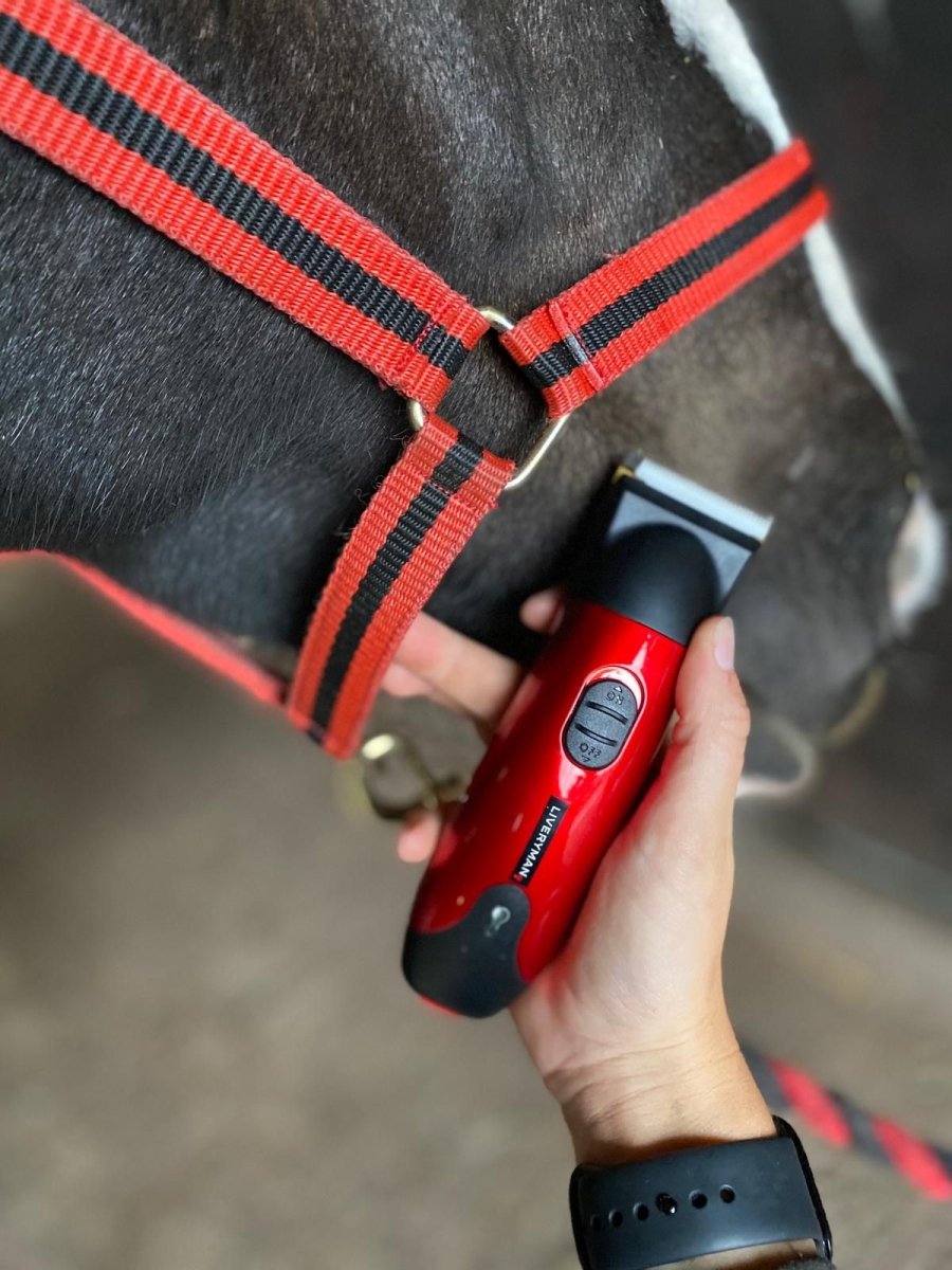 Liveryman Classic Professional Horse Trimmer - 