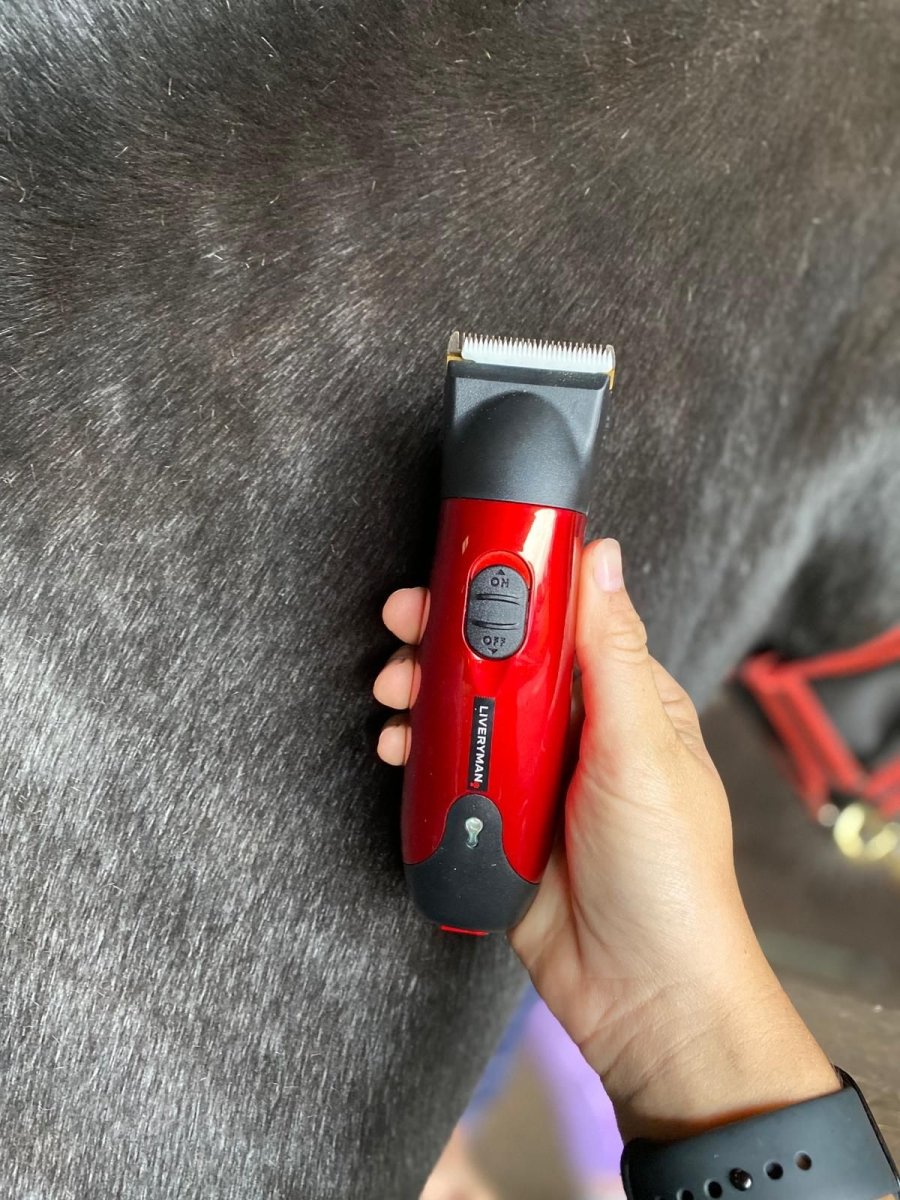 Liveryman Classic Professional Horse Trimmer - 