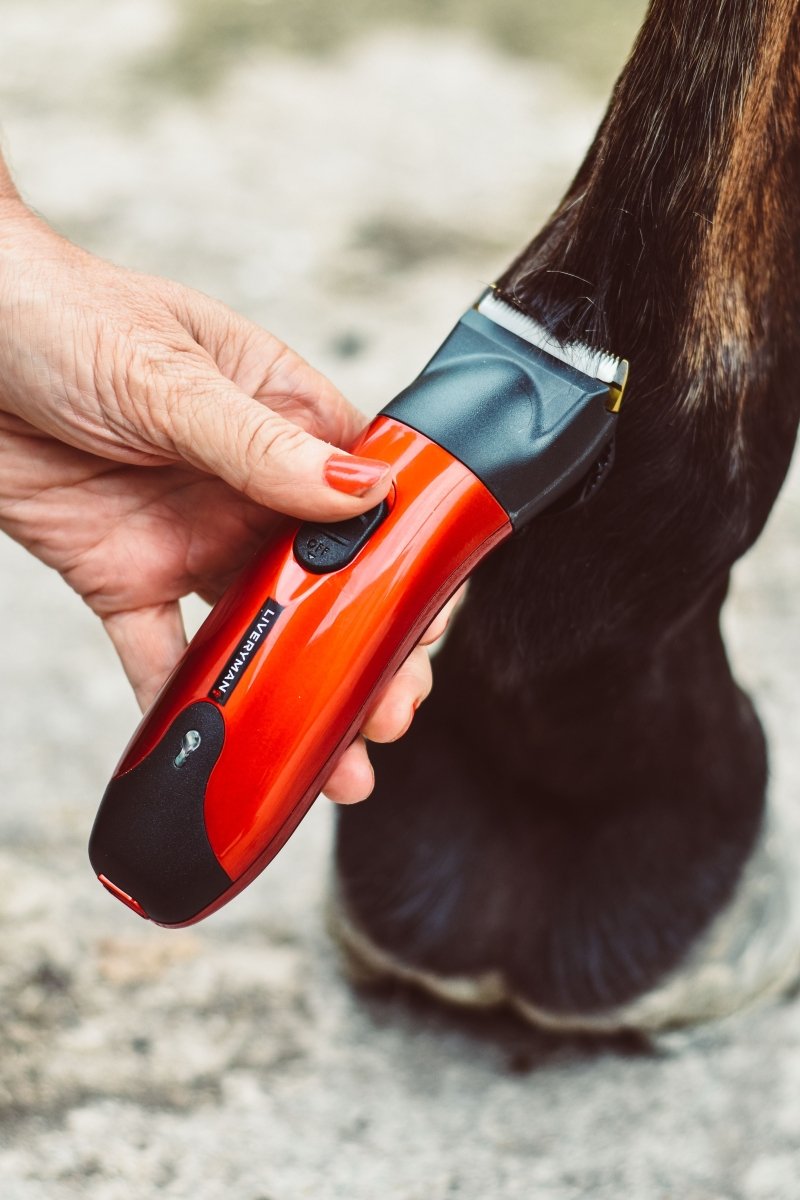 Liveryman Classic Professional Horse Trimmer - 