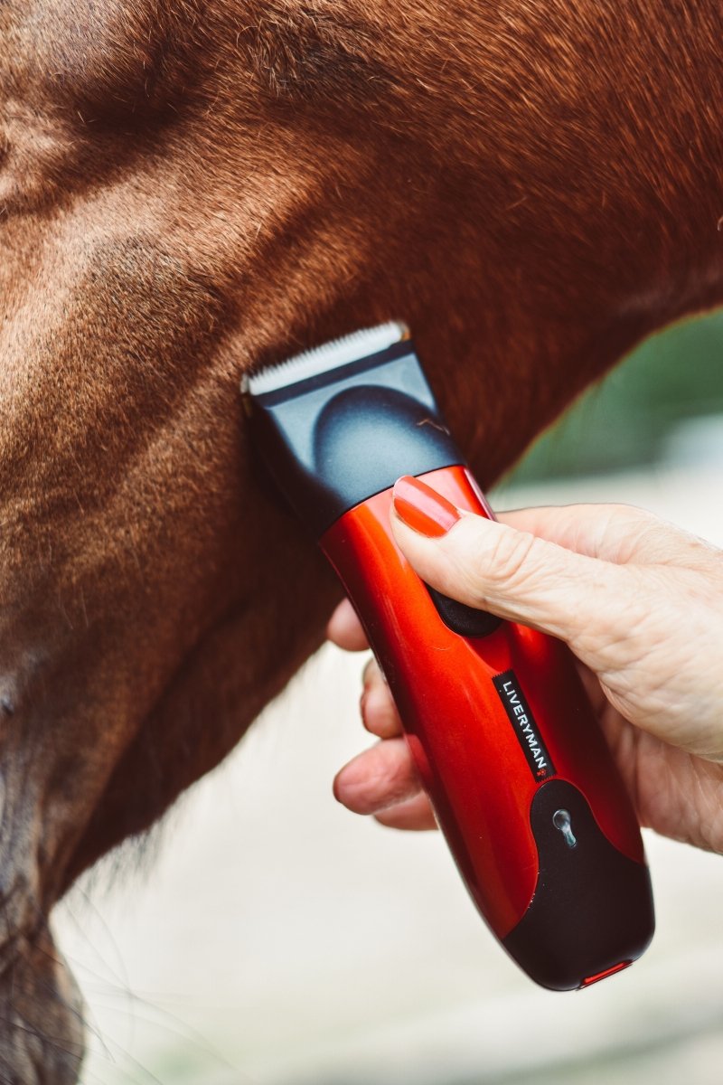 Liveryman Classic Professional Horse Trimmer - 