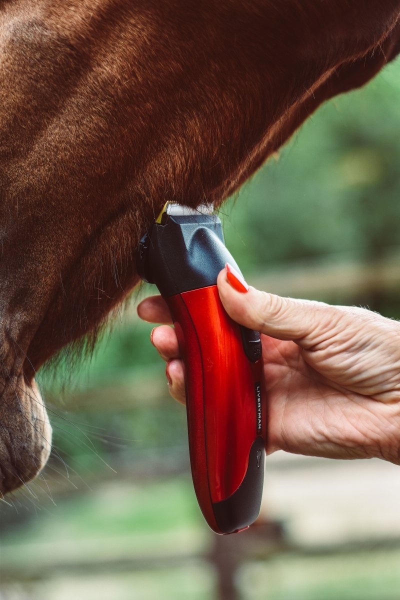 Liveryman Classic Professional Horse Trimmer - 