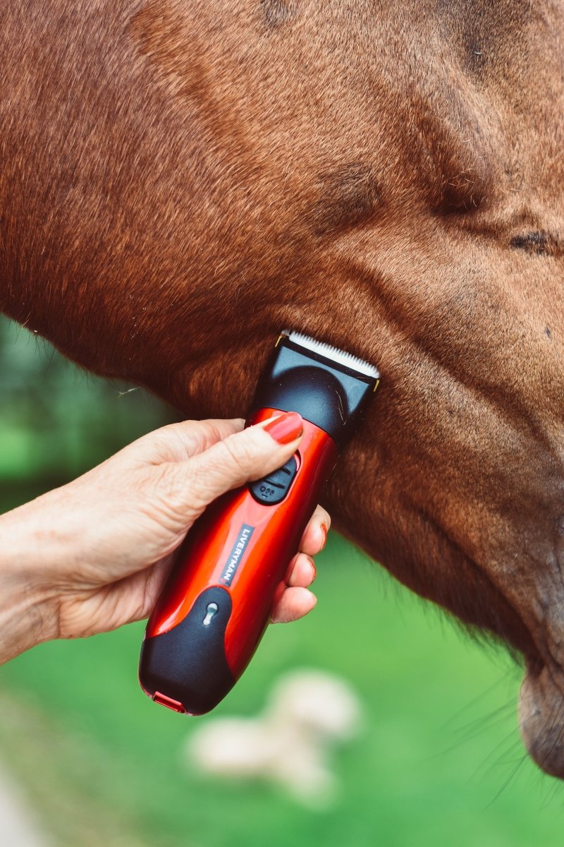 Liveryman Classic Professional Horse Trimmer - 