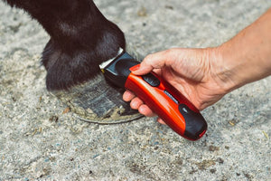 Liveryman Classic Professional Horse Trimmer - 