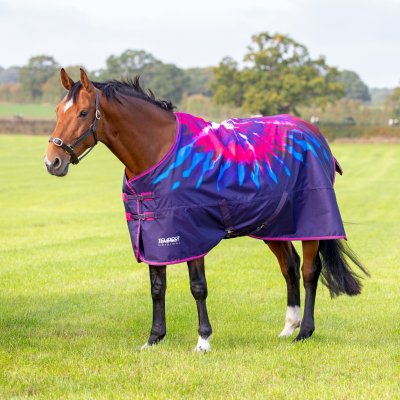 Tempest Original Lite Turnout Rug - Pink Tiedye - 4'0"