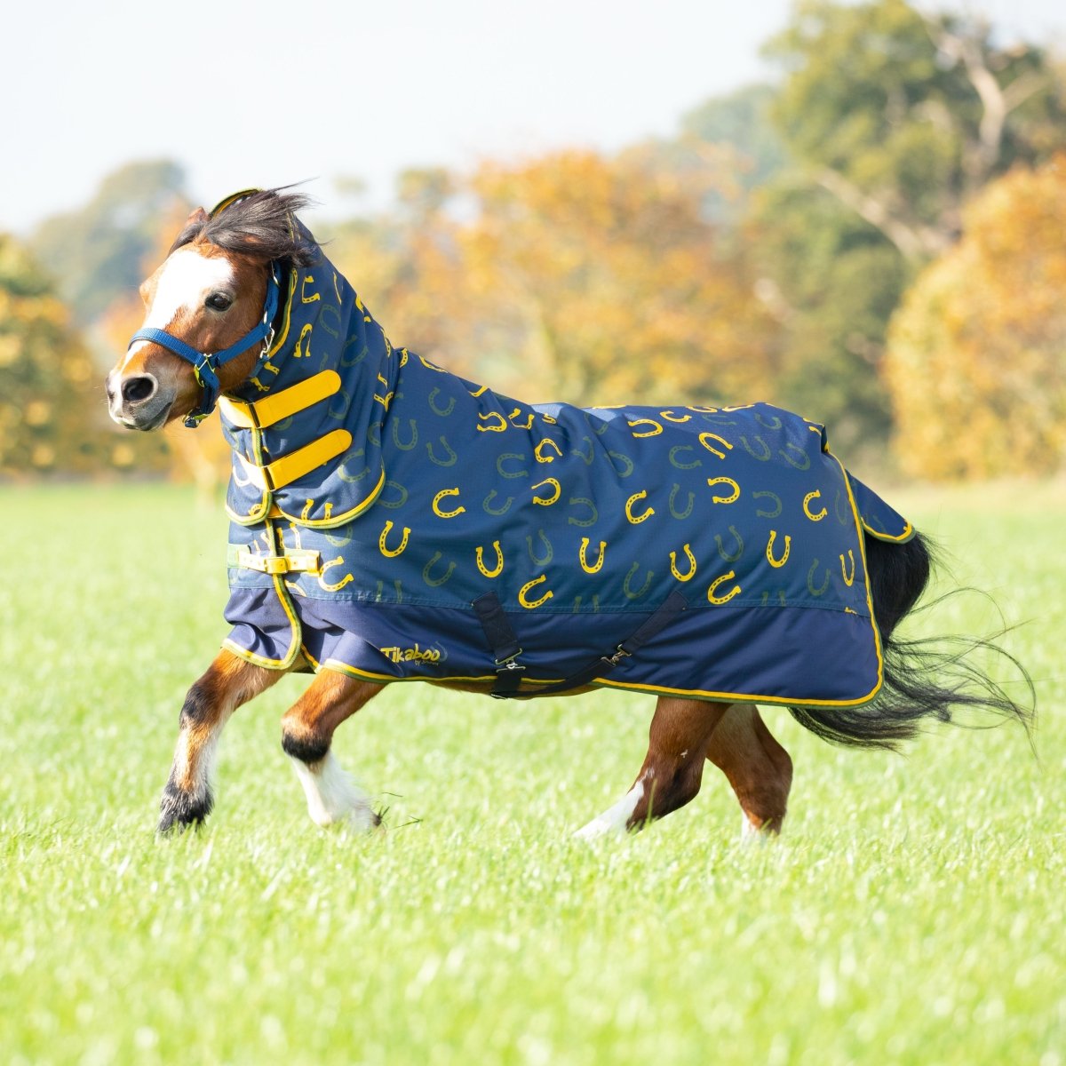 Tikaboo 200 Combo Turnout Rug - Cool Shetland - 3'6"