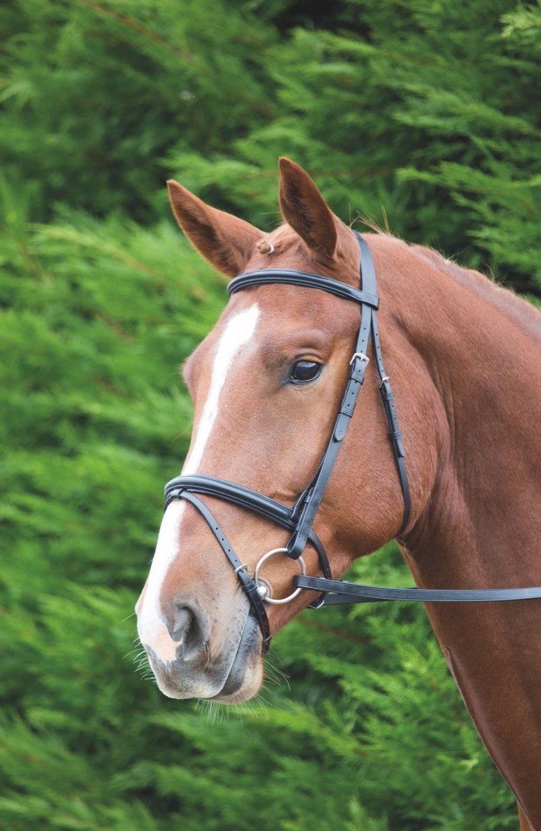 Velociti GARA Raised Flash Bridle - Black - Cob