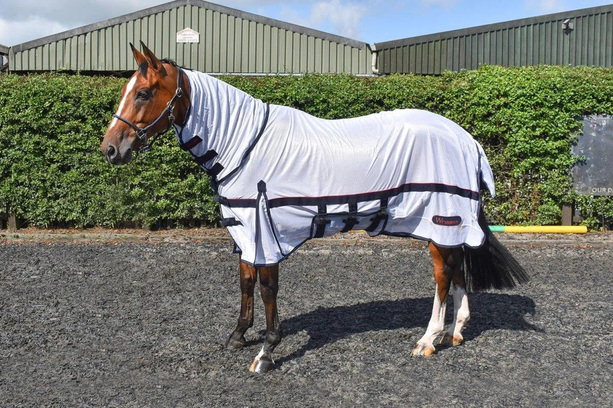 Whitaker Rastrick Fly Rug Mesh - White - 4'3"