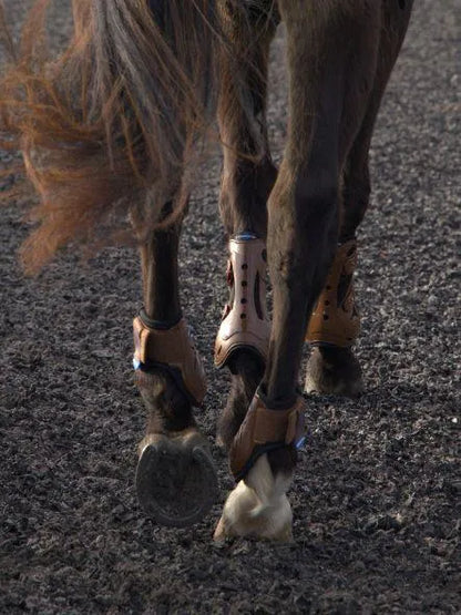 Cryochaps Exoskeleton Air Flow Boots for Horses - Black -