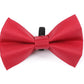 Digby & Fox Bow Tie - Forest - L