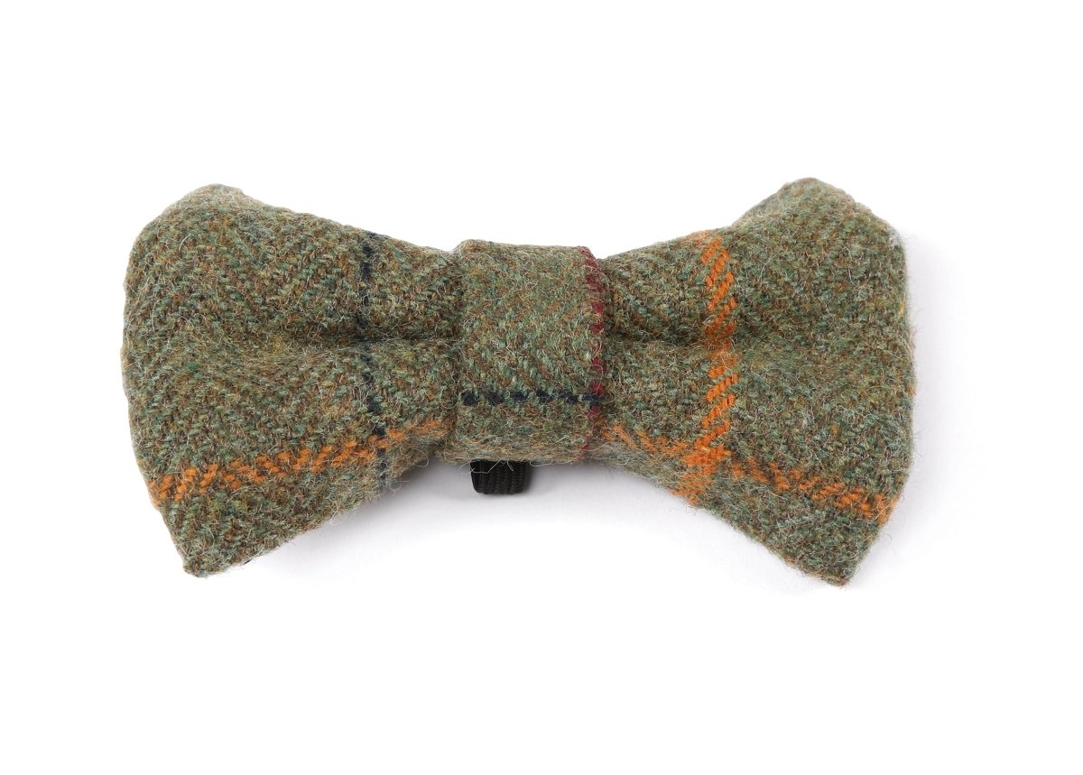 Digby & Fox Bow Tie - Forest - L