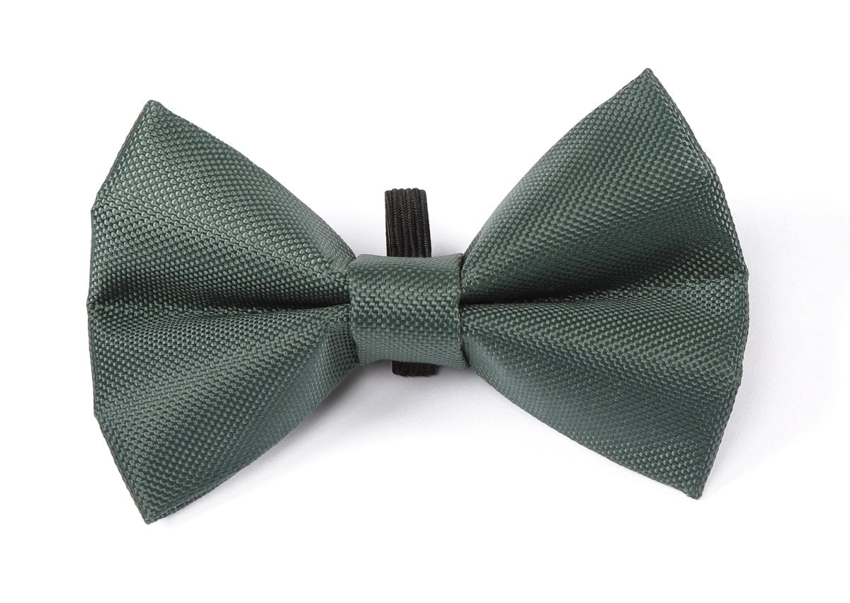 Digby & Fox Bow Tie - Forest - L