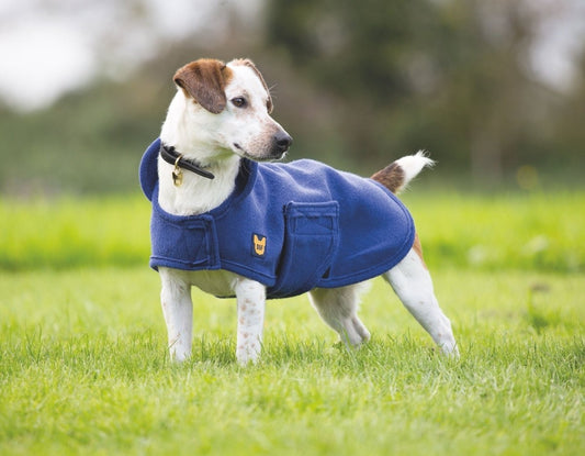 Digby & Fox Dog Towel Coat - Navy - L