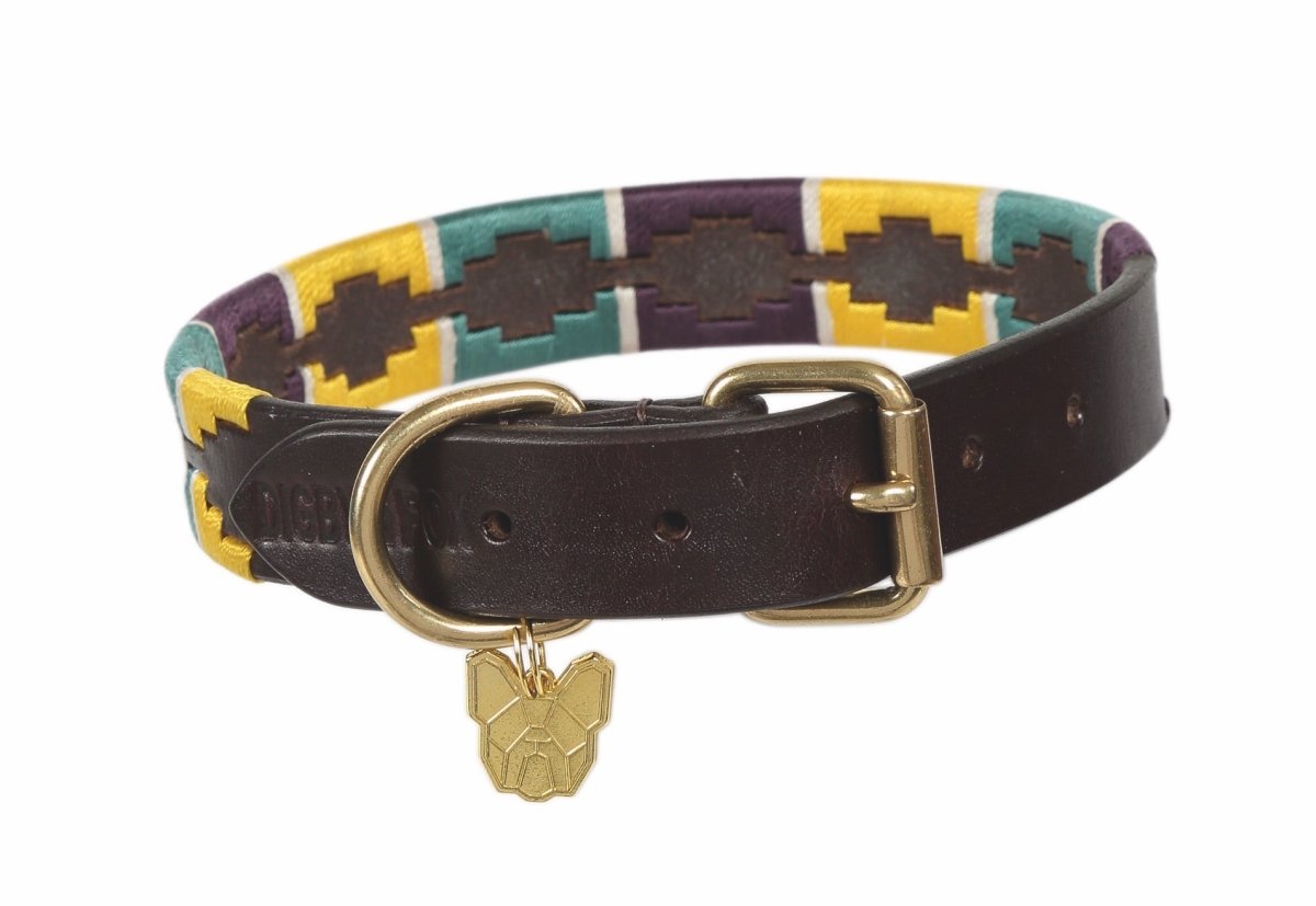 Digby & Fox Drover Polo Dog Collar - Yellow/Dark Green/Purple - XXS