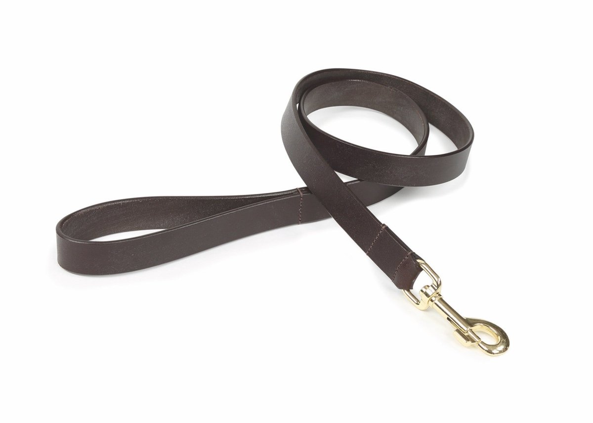 Digby & Fox Flat Leather Dog Lead - Black - LARGE